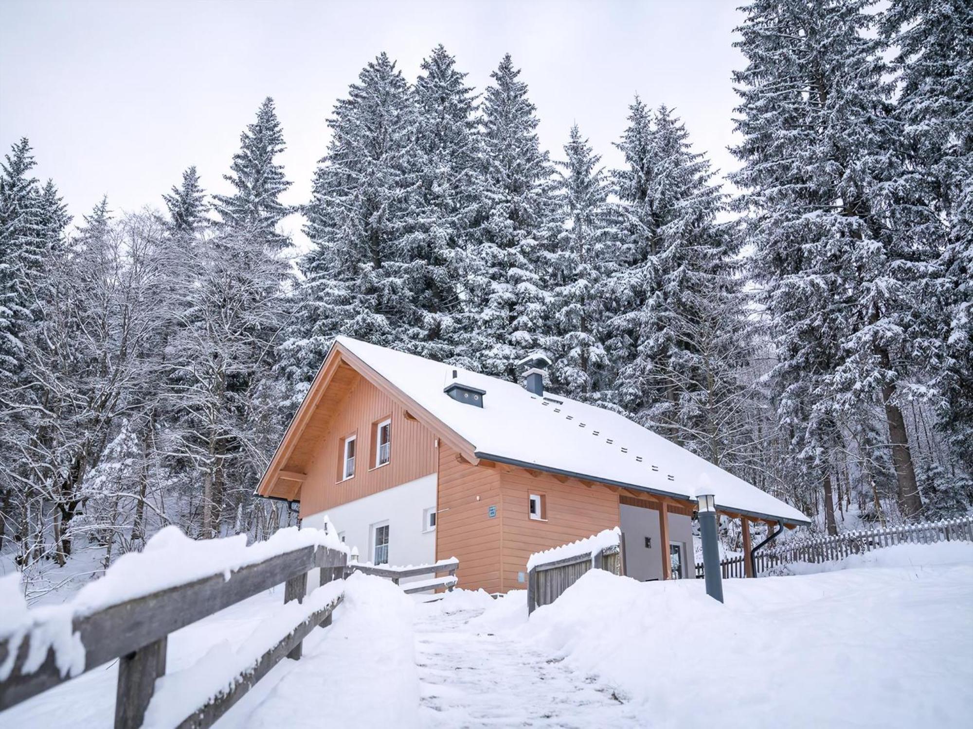 Landal Bad Kleinkirchheim Ξενοδοχείο Εξωτερικό φωτογραφία